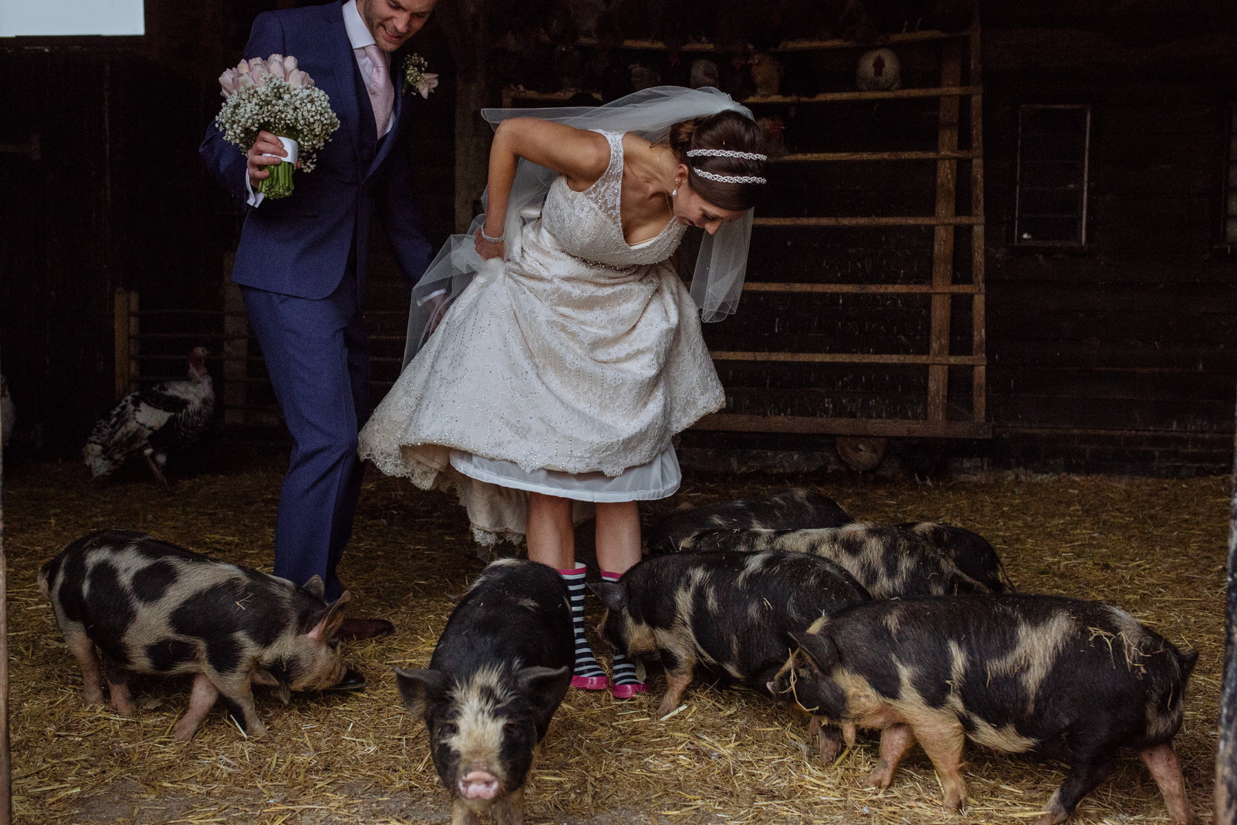 piglets at south farm wedding alternative photographer