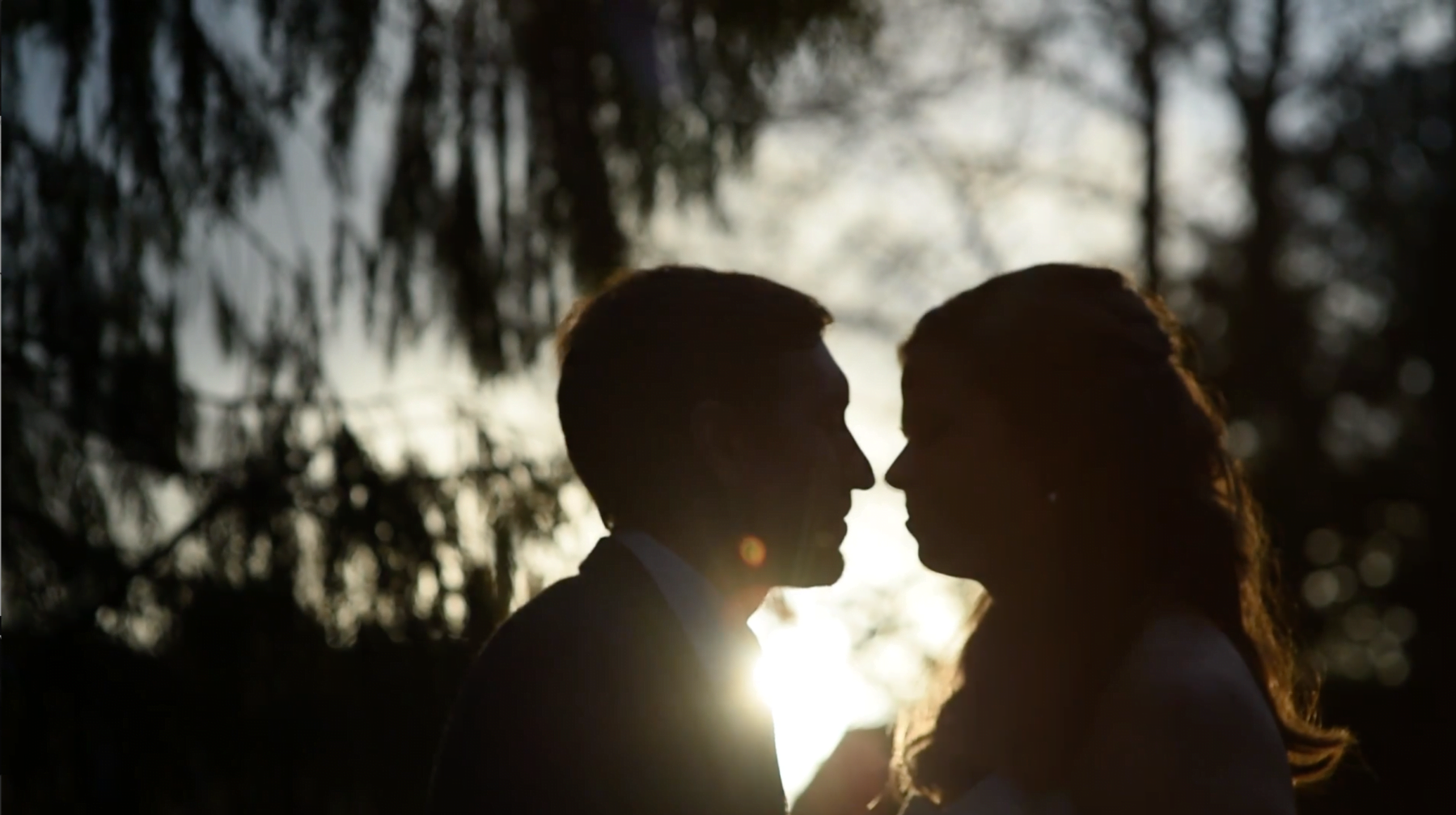 bride and groom at Samlesbury Hall, silhouette, yorkshire wedding photographer