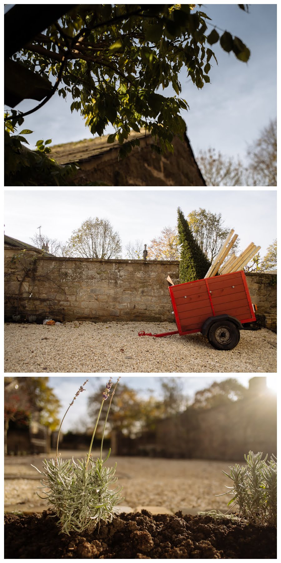Garden photography