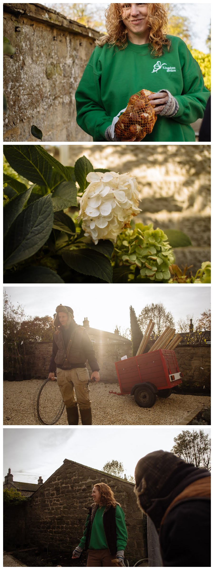 Commercial garden photography