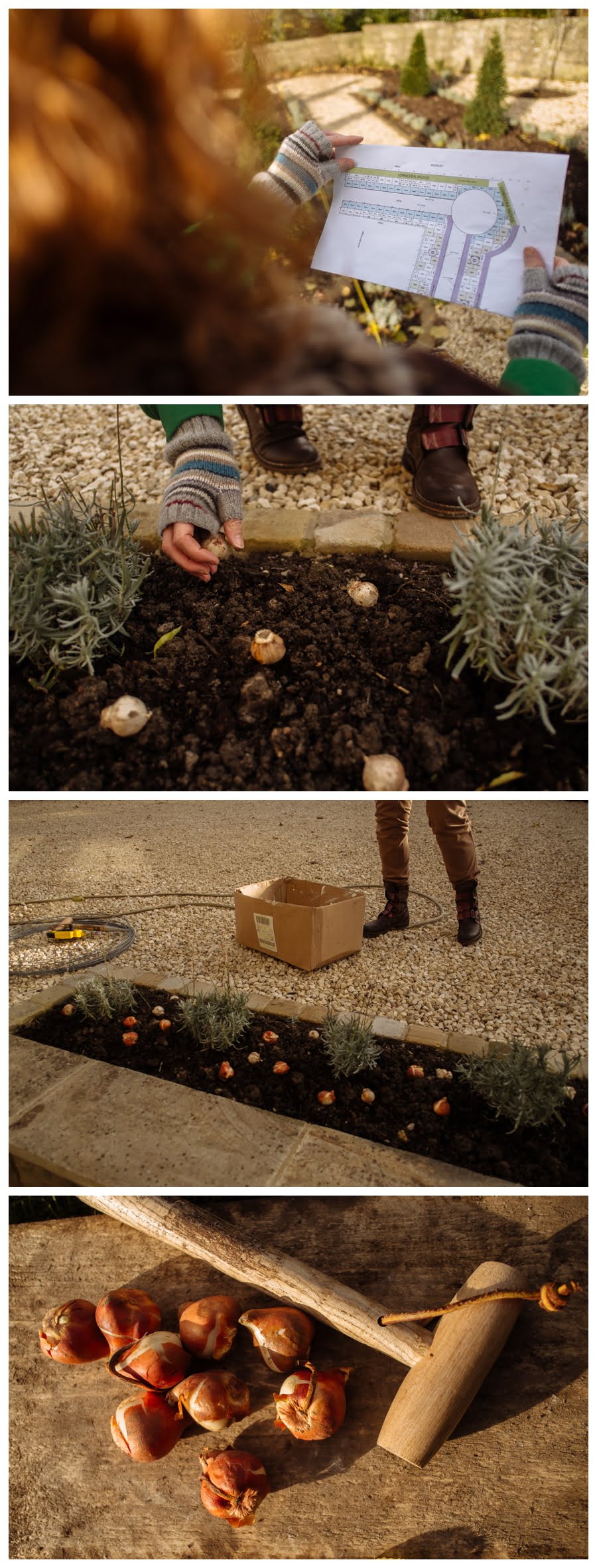 Garden design and bulb planting